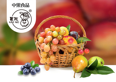 什么樣的過(guò)濾器濾芯才耐用